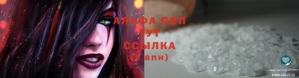 гашик Володарск