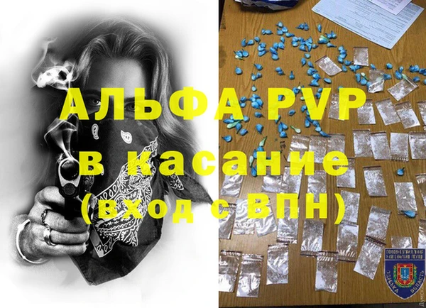 СК Волосово