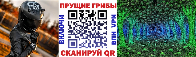 Галлюциногенные грибы мухоморы блэк спрут маркетплейс Инта